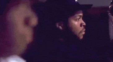 Ice Cube Spin GIF by EsZ  Giphy World