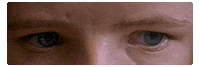 hereditary GIF by A24
