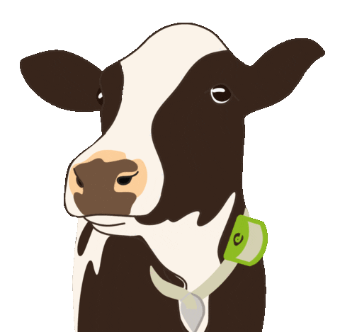 Digitanimal giphyupload cow vaca lengua Sticker