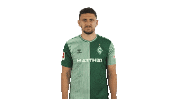 Oh No Werder Sticker by Bundesliga