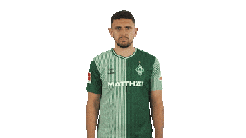 Werder Bremen Sticker by Bundesliga