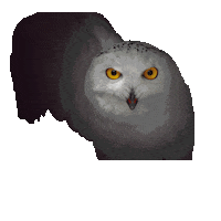 Design Colors Sticker by tikkurila