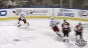 Celebrate Ice Hockey GIF by NHL