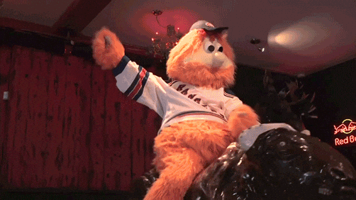 Mascot Montreal GIF