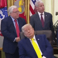 Donald Trump GIF by Respective