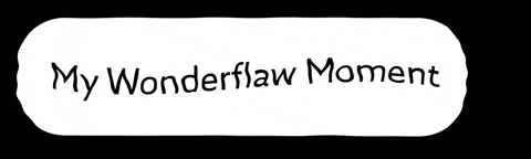 wonderflaw giphygifmaker moment flaw wonderflaw GIF