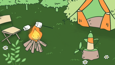 Animation Camping GIF by Bellabu Bear