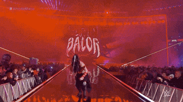 Wrestlemania 35 Sport GIF by WWE