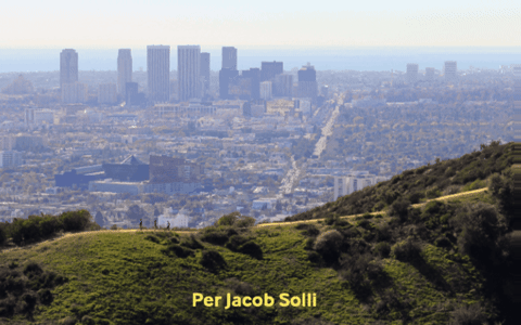 perjacobsolli giphygifmaker GIF