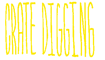 shop digging Sticker by Selekta.fm