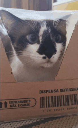 GIF by TOTVS