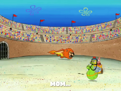season 6 episode 3 GIF by SpongeBob SquarePants