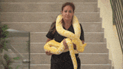 Abc Omg GIF by Bachelor in Paradise