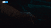 CurfewSeries love cute couple couples GIF