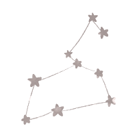 Stars Leo Sticker by Frasier Sterling Jewelry