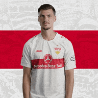 Football Party GIF by VfB Stuttgart