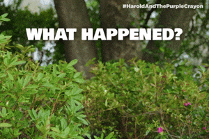 What happened?