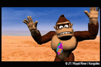 Happy Donkey Kong GIF by Royalrivermusik