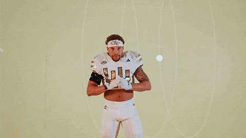 Georgia Tech Football Sport GIF by Georgia Tech Yellow Jackets