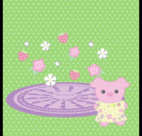 Central Park Nyc GIF