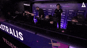 Magisk Blastproseries GIF by BLAST