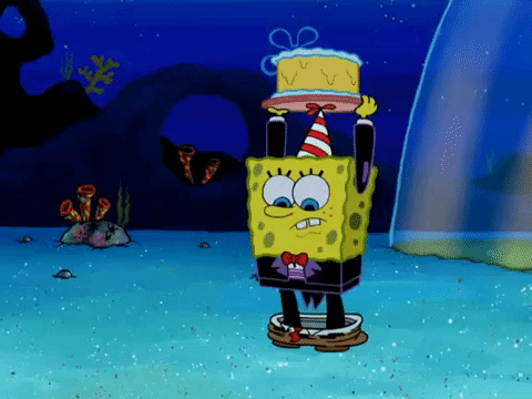 season 6 gullible pants GIF by SpongeBob SquarePants