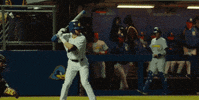 BlueHens baseball bluehens tough guy hit by pitch GIF