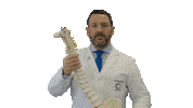Medico Scheletro Sticker by josephluraschi_chiropratico