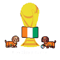 World Cup Ivoirien Sticker by HotDogs