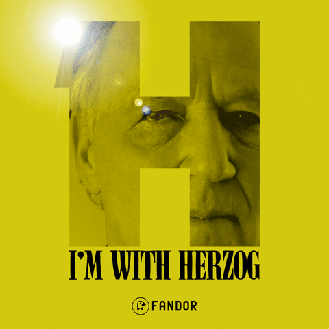 GIF by Fandor