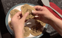 GIF by Science Friday