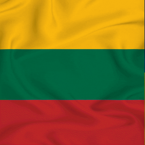 Flag Ukraine GIF by Tilis
