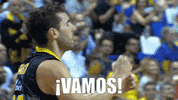 vamos liga endesa GIF by ACB