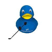 Hockey Ulm Sticker by devilsulmneuulm