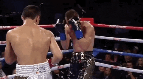 toprank giphyupload fight boxing fighting GIF