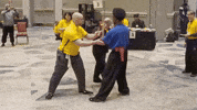 Taiji Taijiquan GIF by Shoreline Tai Chi