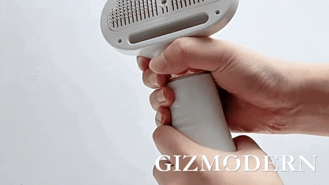 GizModern giphyupload GIF