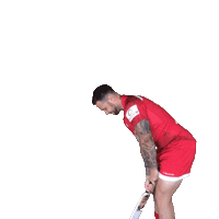 Celebration Rugby Sticker by Jersey Reds