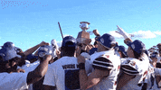 Colgate University Football GIF by Colgate Athletics