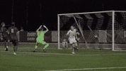 Colgate University Soccer GIF by Colgate Athletics