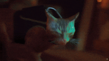 Neon City Cat GIF