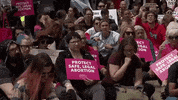 news protest abortion reproductive rights scotus GIF