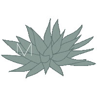 MesaTacos mesa nampa nampa idaho nampaidaho Sticker