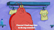 season 9 GIF by SpongeBob SquarePants