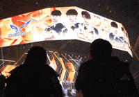 Fw Flashwolves GIF