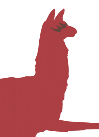 cervezasaltacautiva giphyupload cool llama alpaca Sticker