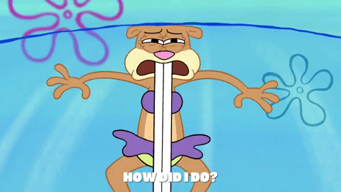 episode 1 GIF by SpongeBob SquarePants