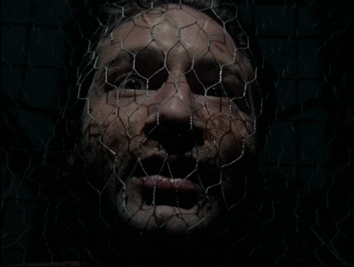 x files GIF by The X-Files