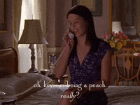 season 2 netflix GIF by Gilmore Girls 