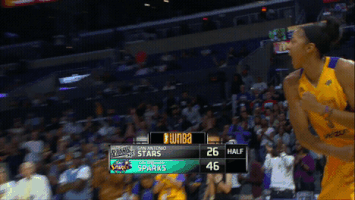 excited la sparks GIF by WNBA